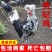 农家散养贵妃鸡纯正贵妃鸡半大鸡脱温鸡活体包活到家