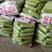 河南焦作绿皮西葫芦，0.7斤左右，条型直，颜色绿，上市中