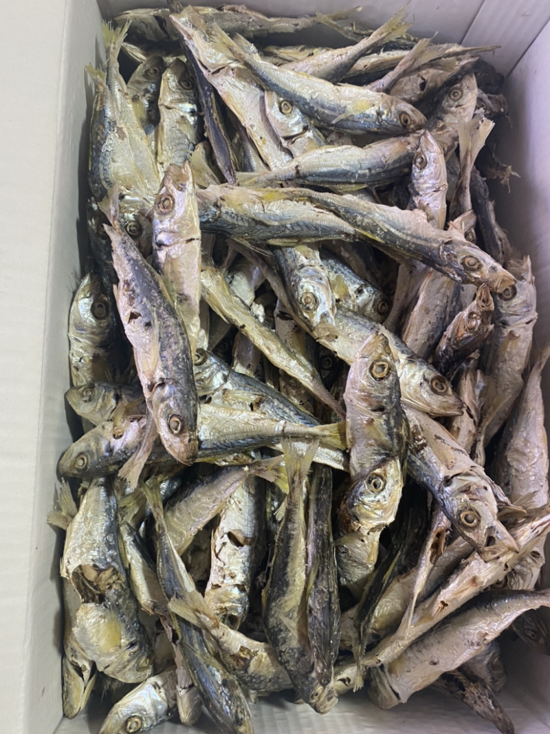 东山黄尾巴浪鱼干，新鲜上市，货源稳定，一手货源