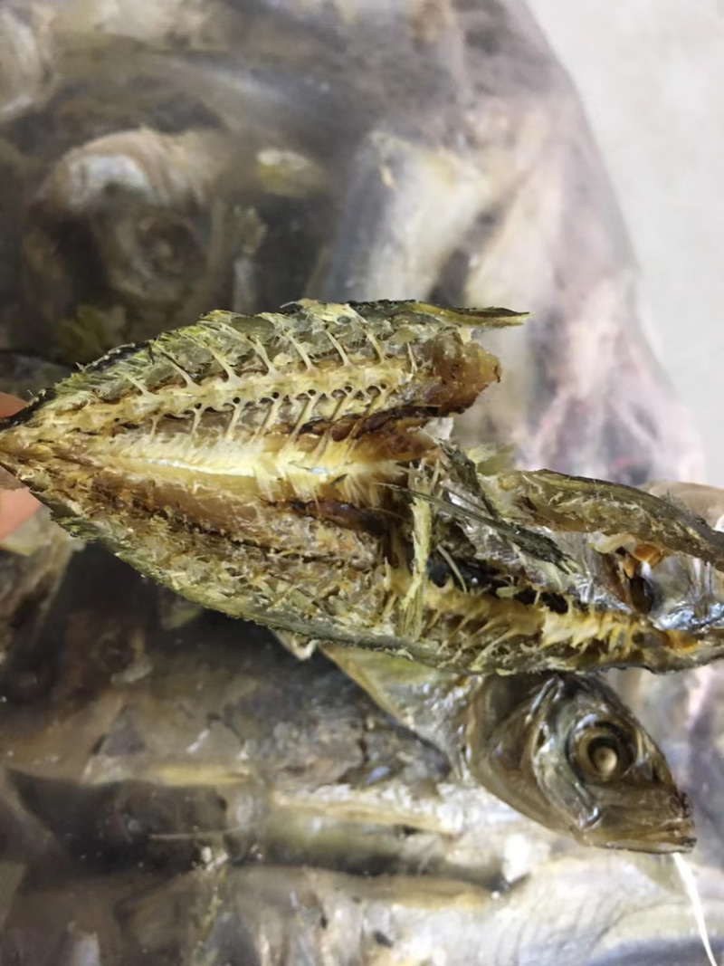 东山黄尾巴浪鱼干，新鲜上市，货源稳定，一手货源
