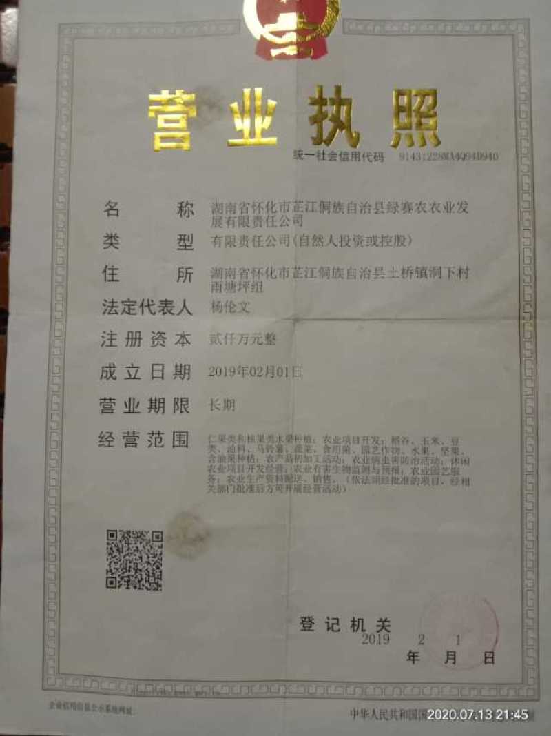 紫色水稻种子