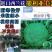 西兰花种子，欧兰德撒利亚3号，进口耐寒小米粒低温不发紫