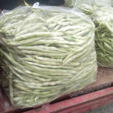 河南焦作博爱白不老，也叫芸豆，上市中，基地直发，价格优惠