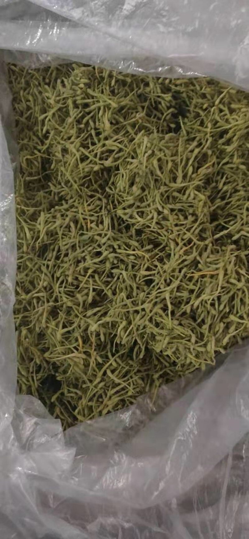 精品2021新季金银花一手货源品种齐全基地批发量大从优