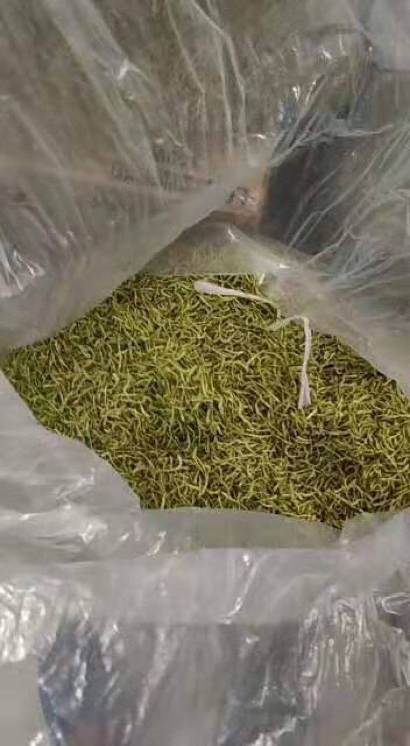 湖北金银花各种品类齐全新季上市产地直销一手货源批发销售