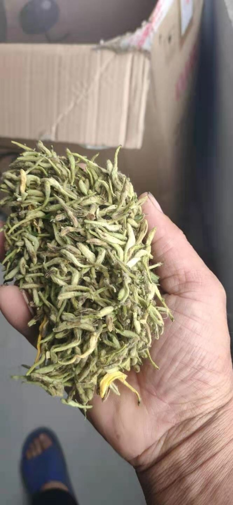 湖北金银花各种品类齐全新季上市产地直销一手货源批发销售