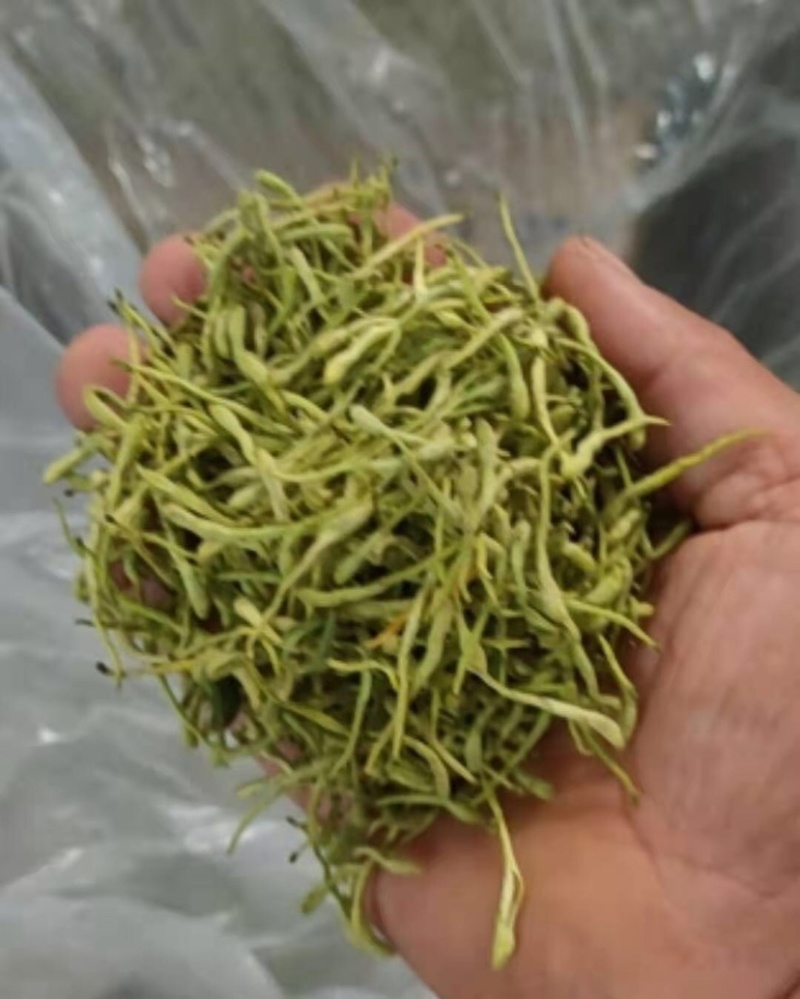 湖北金银花各种品类齐全新季上市产地直销一手货源批发销售