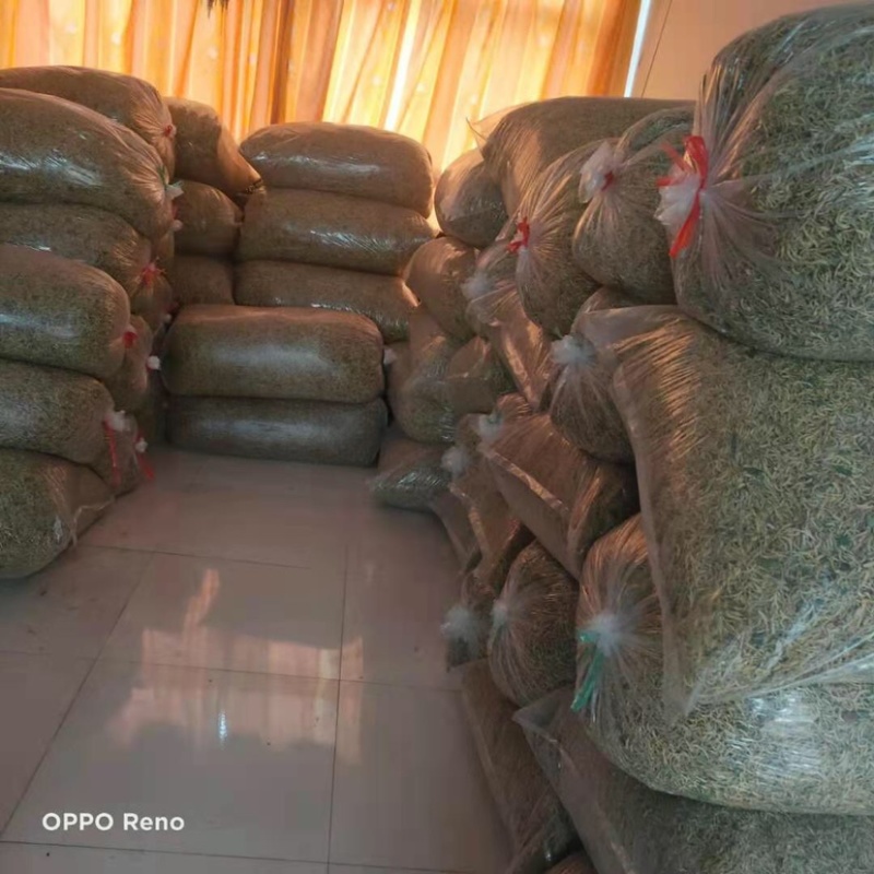 湖北金银花各种品类齐全新季上市产地直销一手货源批发销售