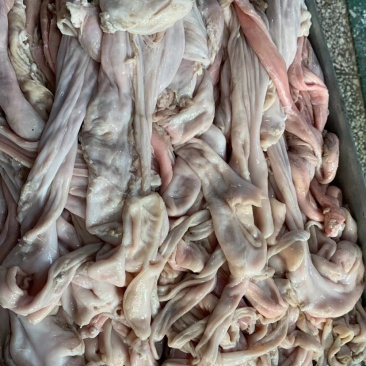 羊小肚羊百叶散袋红肠羊汤馆熟食店涮羊肉适合