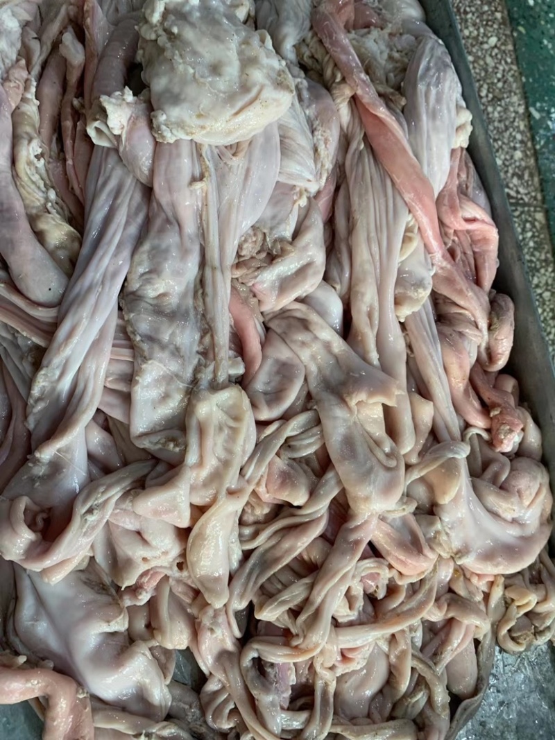 羊小肚羊百叶散袋红肠羊汤馆熟食店涮羊肉适合