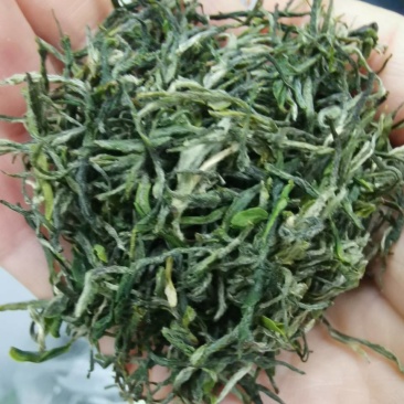 大叶少芽雨前茶