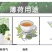 薄荷盆栽薄荷可食用驱蚊虫净化空气室内客厅办公室阳台