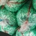 蒜米蒜仔蒜蓉蒜酱蒜泥蒜丁不泡水