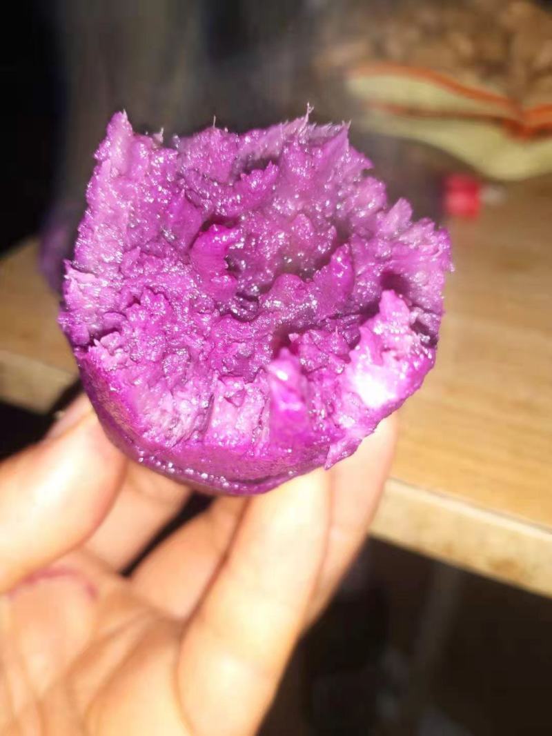 红薯苗