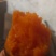 红薯苗