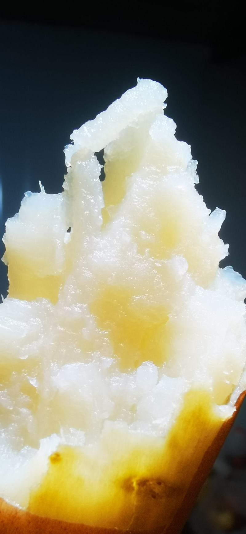 红薯苗