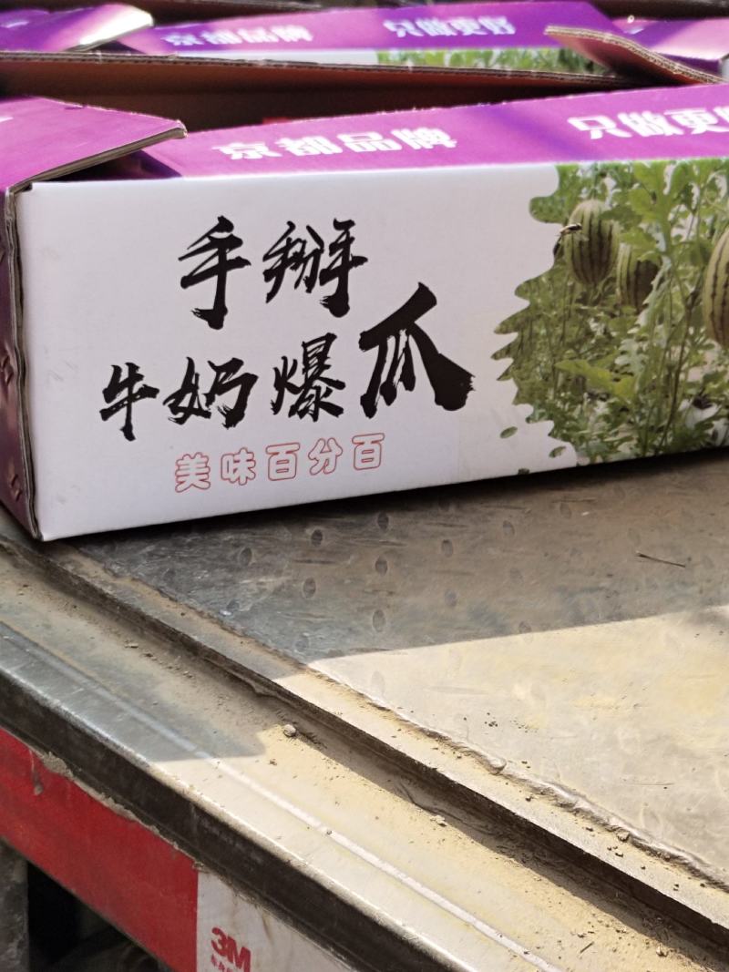 山东2K小糖丸吊瓜小糖丸西瓜保熟保甜一手货源