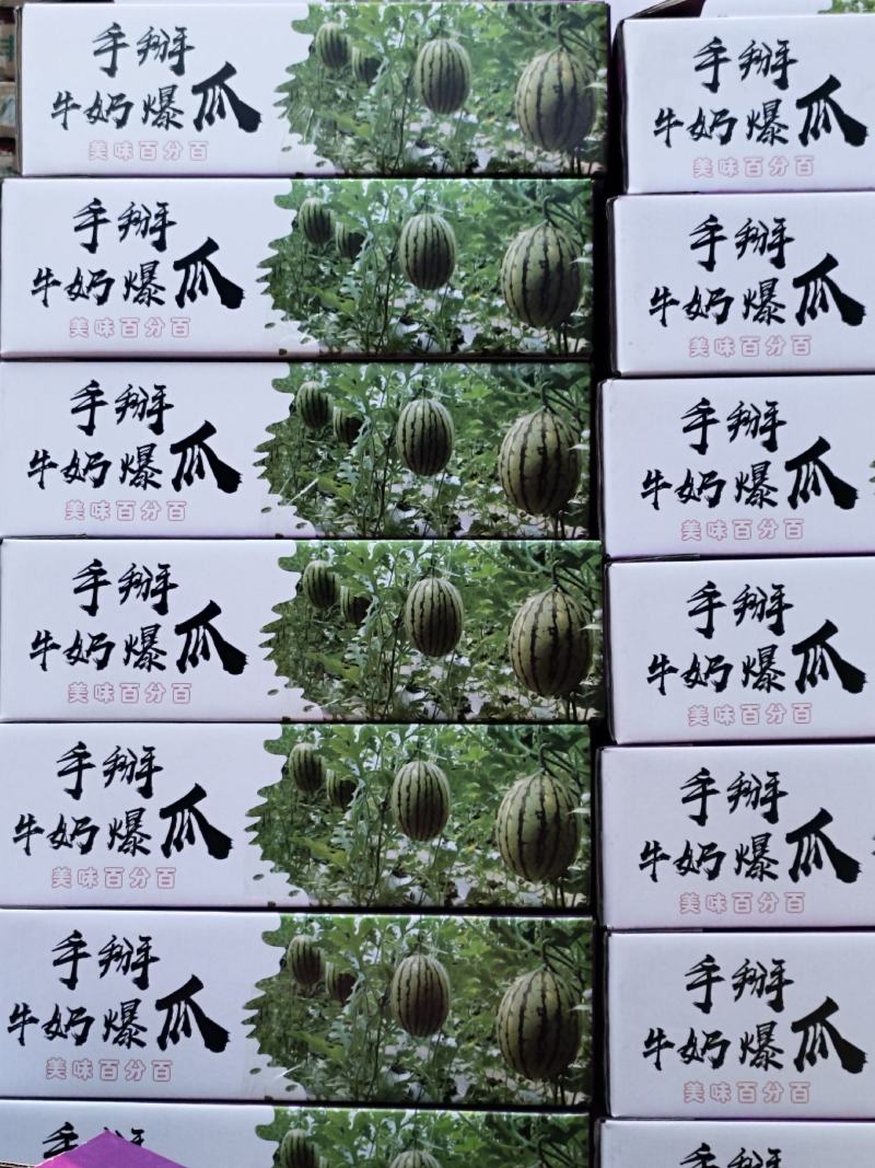 山东2K小糖丸吊瓜小糖丸西瓜保熟保甜一手货源