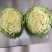 甘蓝包心菜，量大、质量好！无烧边，诚信合作，