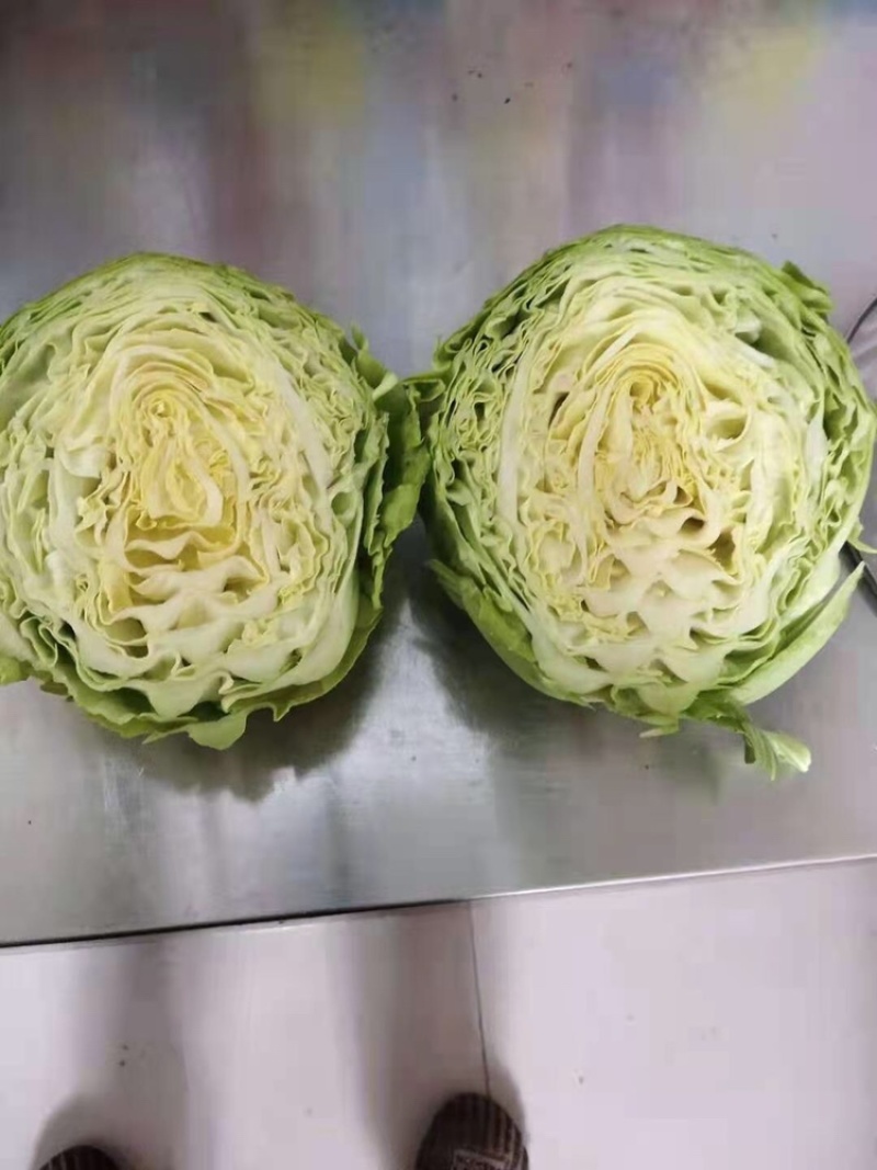 甘蓝包心菜，量大、质量好！无烧边，诚信合作，