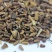 茼蒿菊种子木茼蒿多年生宿根花草种子木春菊种子景观花海易种
