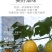 【一件代发】【厂家】吊瓜子罐装大颗粒饱满手工精选包邮