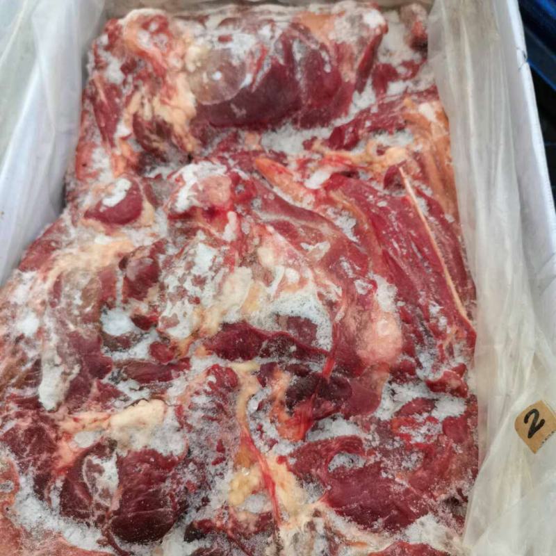 马肉后腿肉颜色鲜质量好欢迎新老顾客光临保质保量
