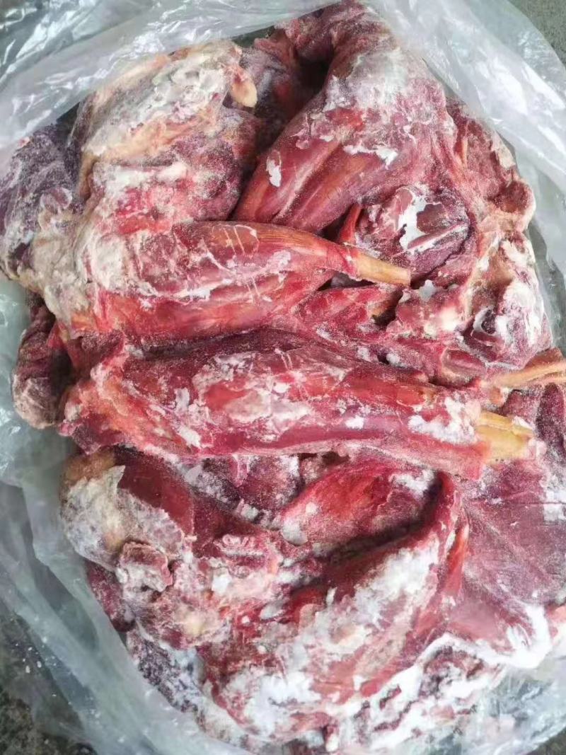 马肉后腿肉颜色鲜质量好欢迎新老顾客光临保质保量
