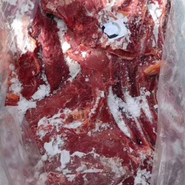 马肉后腿肉颜色鲜质量好欢迎新老顾客光临保质保量