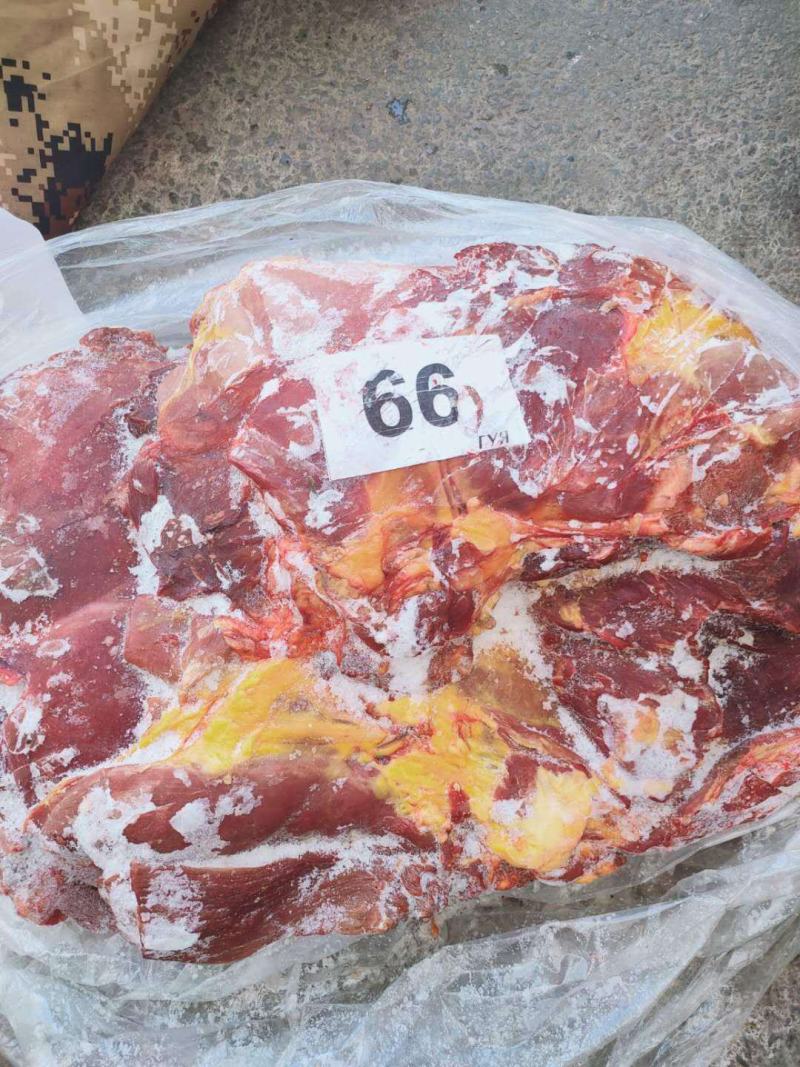 马肉后腿肉颜色鲜质量好欢迎新老顾客光临保质保量