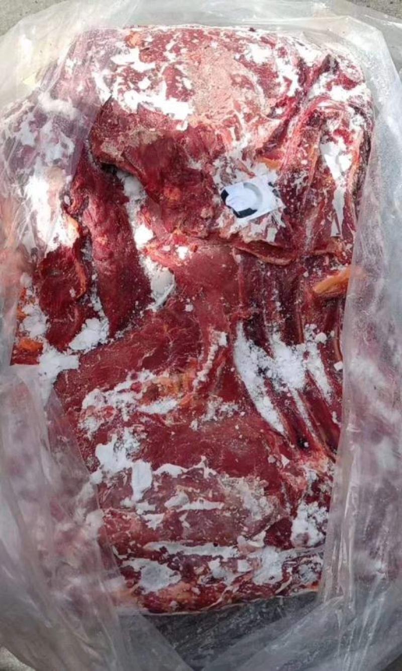 马肉精选供应颜色新鲜质量保证欢迎新老顾客光临选购