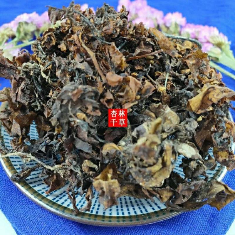 中药材海藻清水海藻无泥沙散装包邮