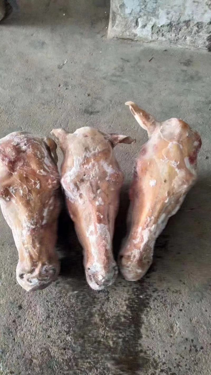 驴头带皮驴头实力供货，视频看产品，保质保量一手货源