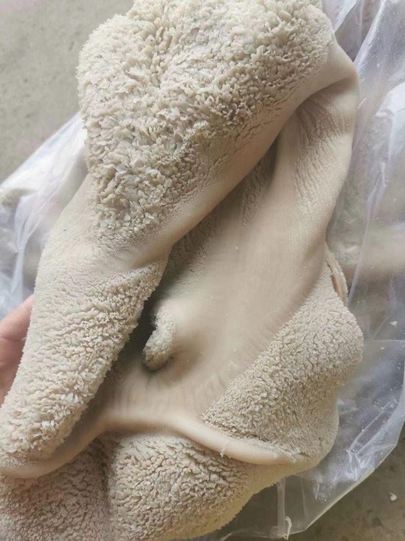 清真全熟羊肚现货精修自己工厂加工干净