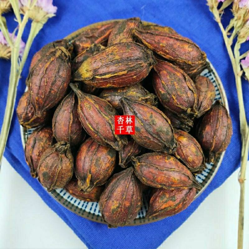 中药材炒栀子焦栀子栀子碳炒山栀子散装包邮