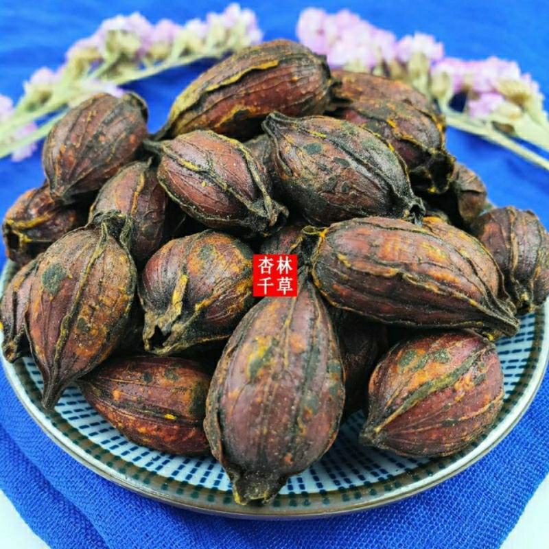 中药材炒栀子焦栀子栀子碳炒山栀子散装包邮