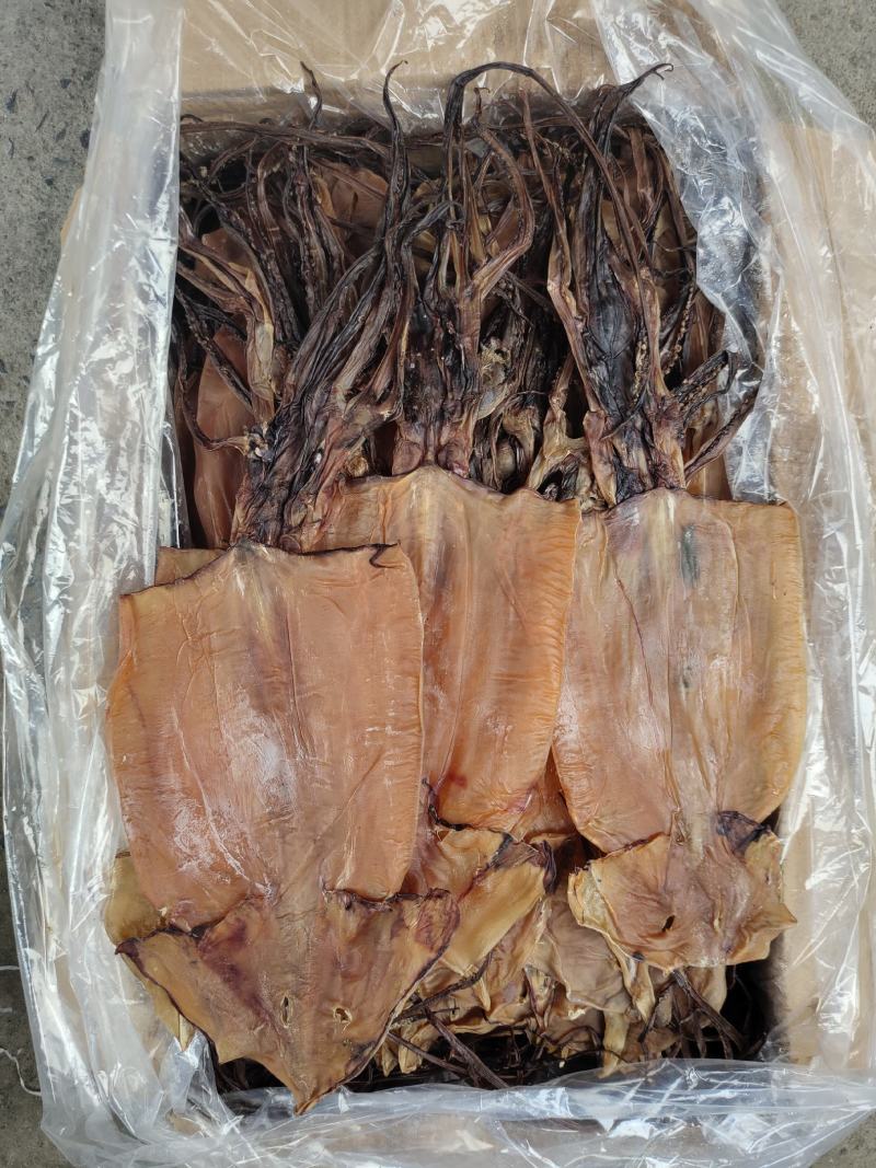淡干鱿鱼干散装20斤一箱阿根廷鱿鱼红鱿鱼