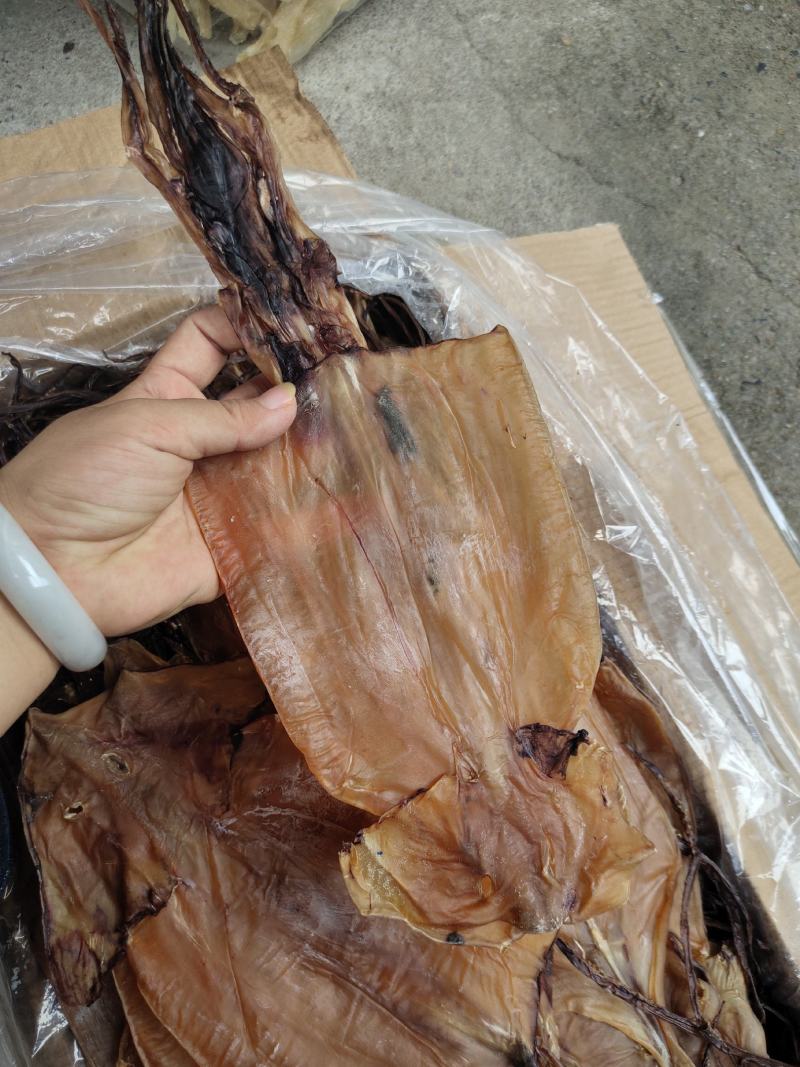 淡干鱿鱼干散装20斤一箱阿根廷鱿鱼红鱿鱼