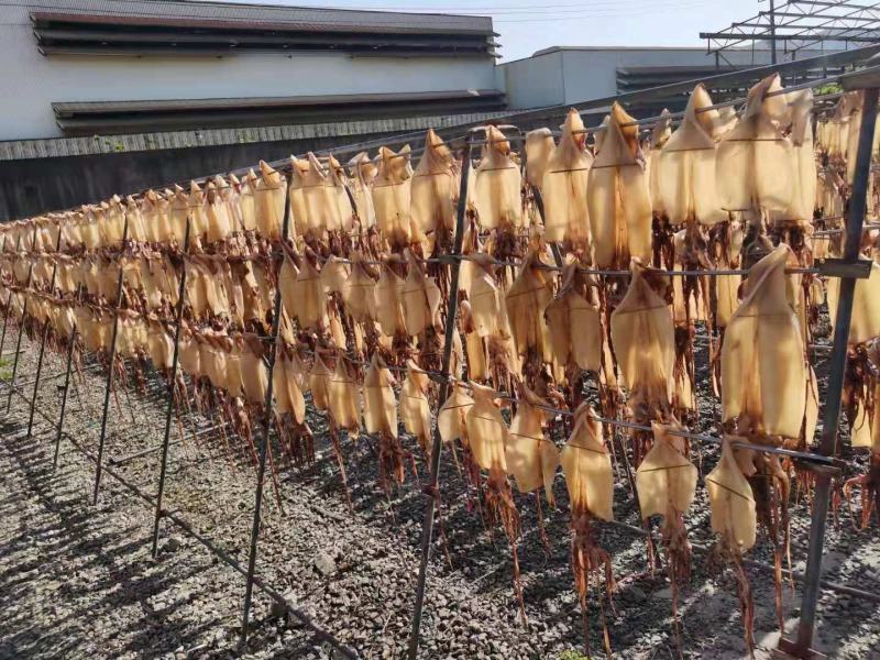 淡干鱿鱼干散装20斤一箱阿根廷鱿鱼红鱿鱼