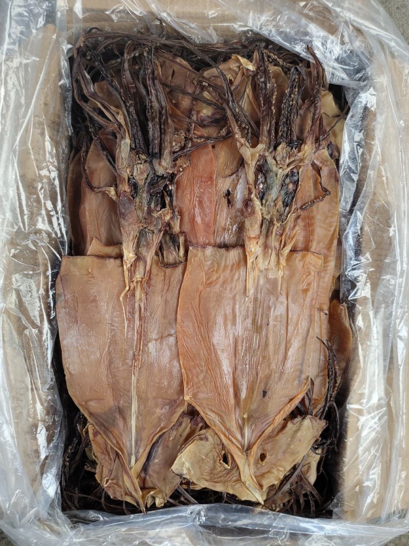 淡干鱿鱼干散装20斤一箱阿根廷鱿鱼红鱿鱼