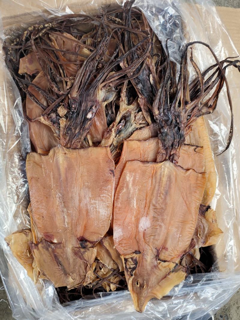 淡干鱿鱼干散装20斤一箱阿根廷鱿鱼红鱿鱼