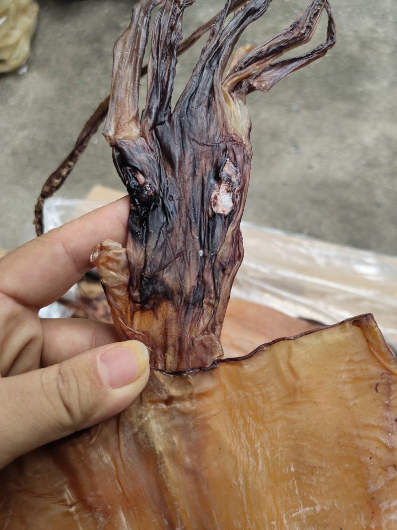 淡干鱿鱼干散装20斤一箱阿根廷鱿鱼红鱿鱼