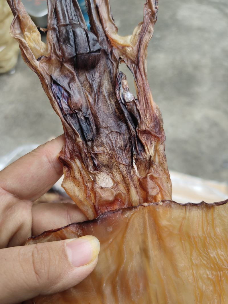 淡干鱿鱼干散装20斤一箱阿根廷鱿鱼红鱿鱼