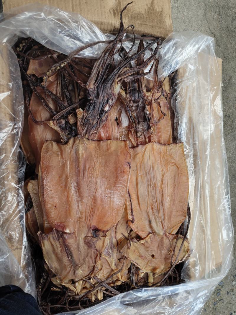 淡干鱿鱼干散装20斤一箱阿根廷鱿鱼红鱿鱼