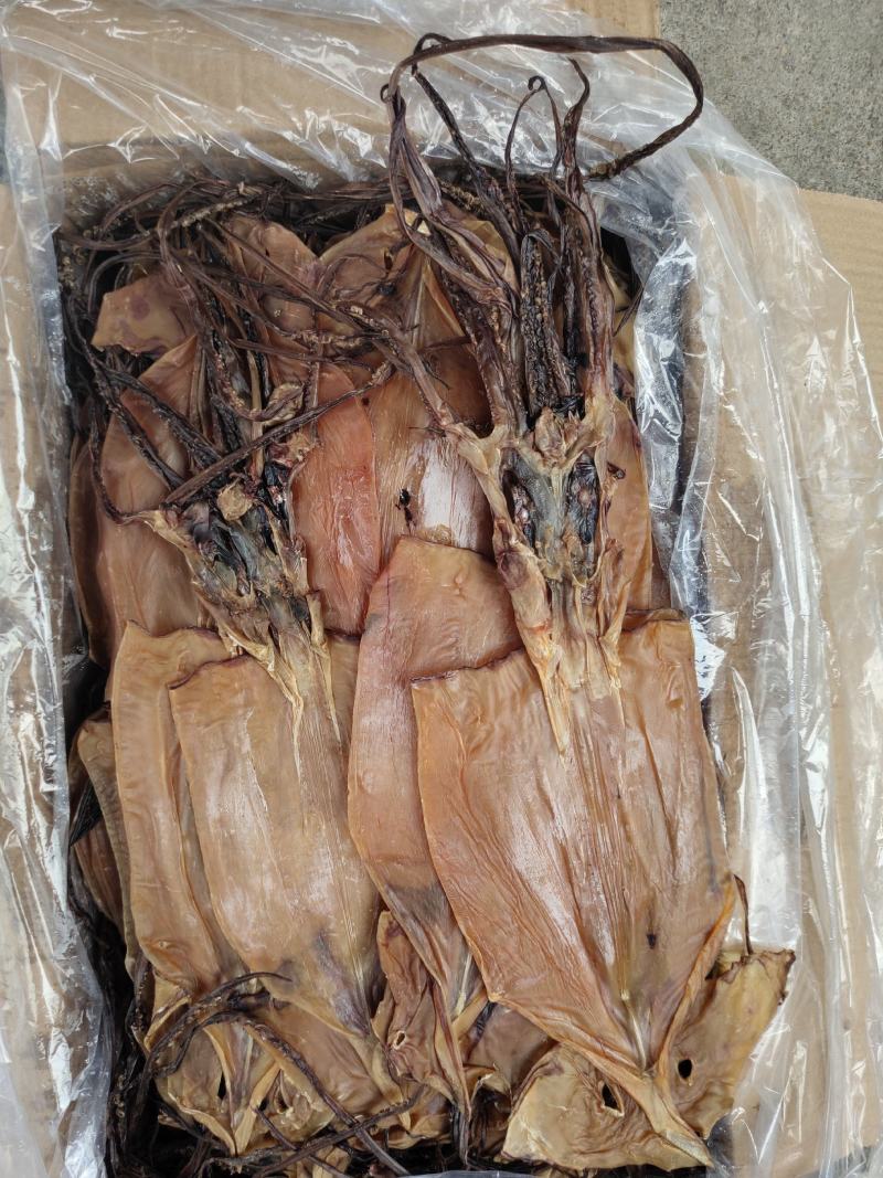 淡干鱿鱼干散装20斤一箱阿根廷鱿鱼红鱿鱼