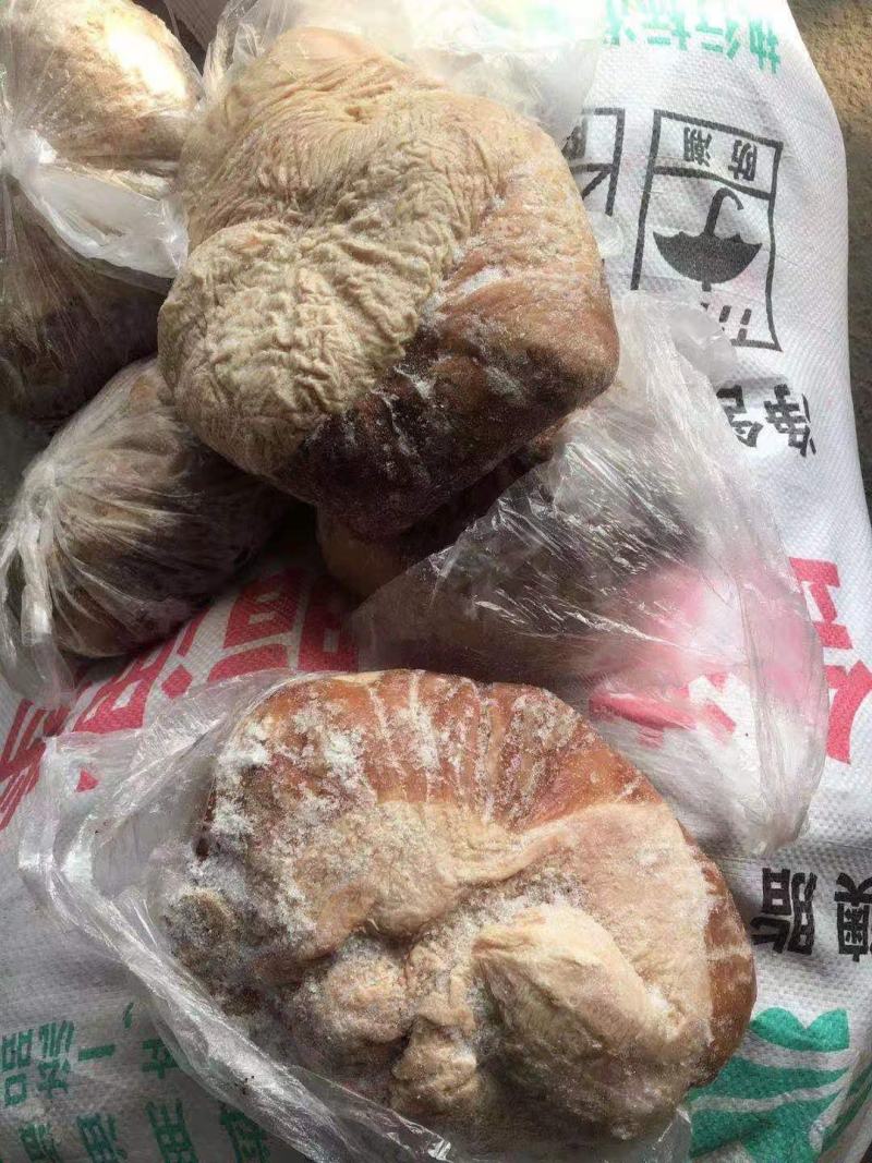 驴肚颜色新鲜质量好以质论价视频看产品保质保量精品