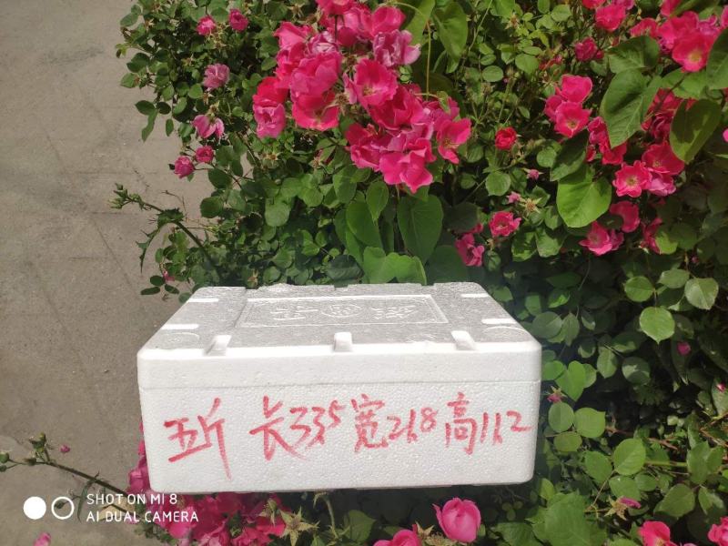 樱桃泡沫箱