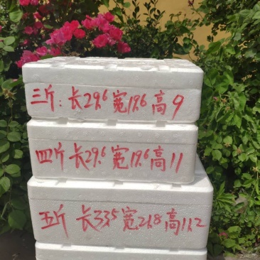 樱桃泡沫箱