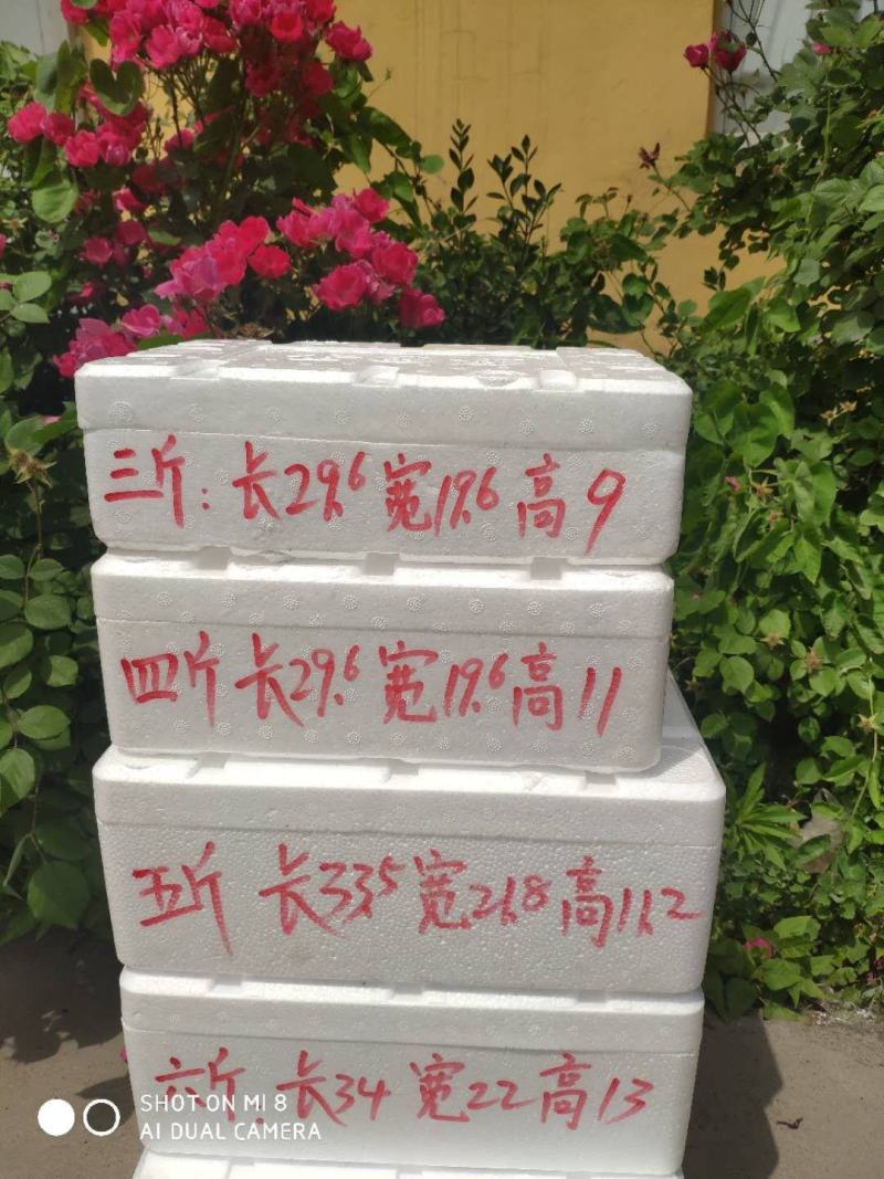 樱桃泡沫箱