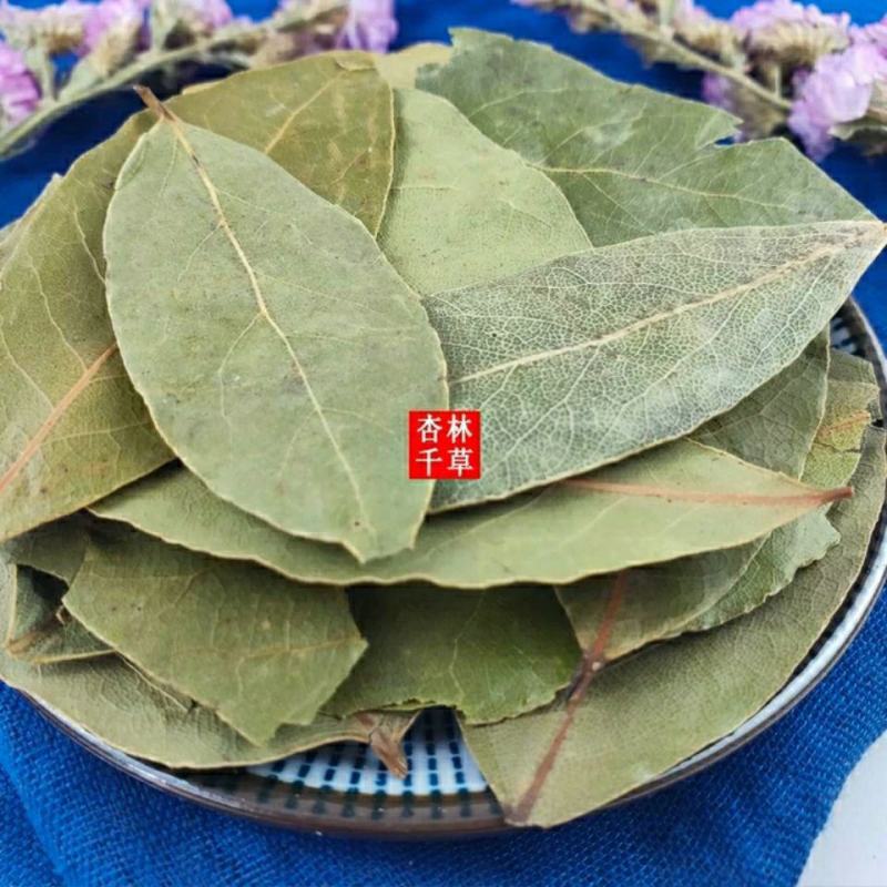 中药材香叶月桂叶炖肉香料樟树叶肉桂叶驱蟑螂虫